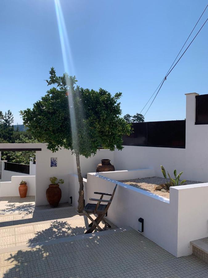 Casa Da Oliveira Acomodação com café da manhã Pedrogao Grande Exterior foto