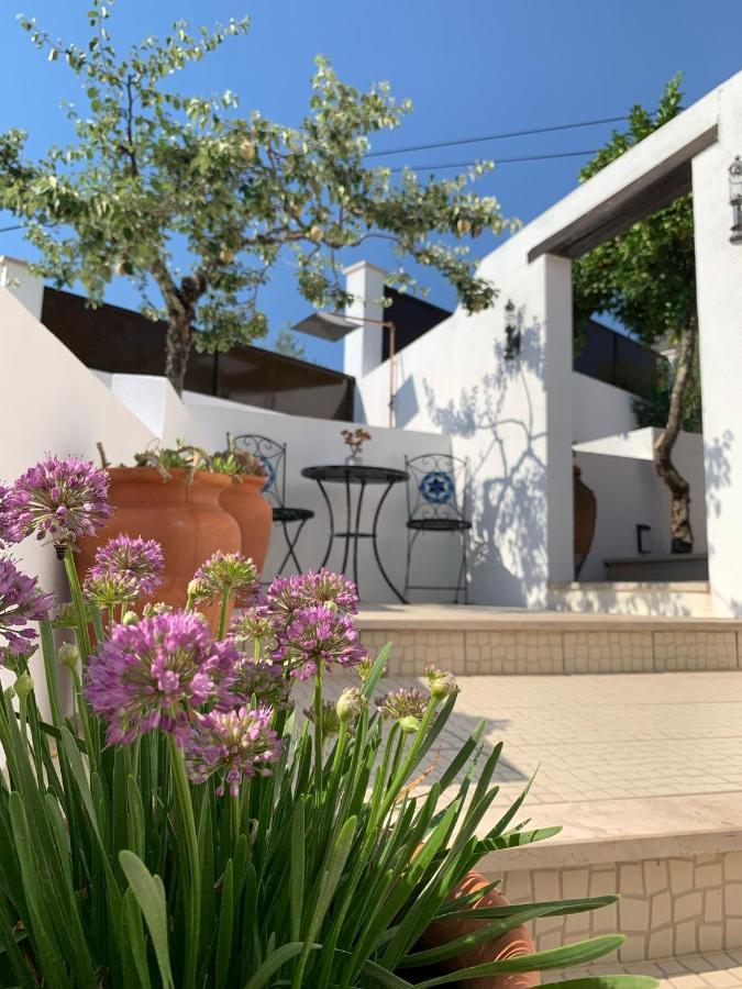 Casa Da Oliveira Acomodação com café da manhã Pedrogao Grande Exterior foto
