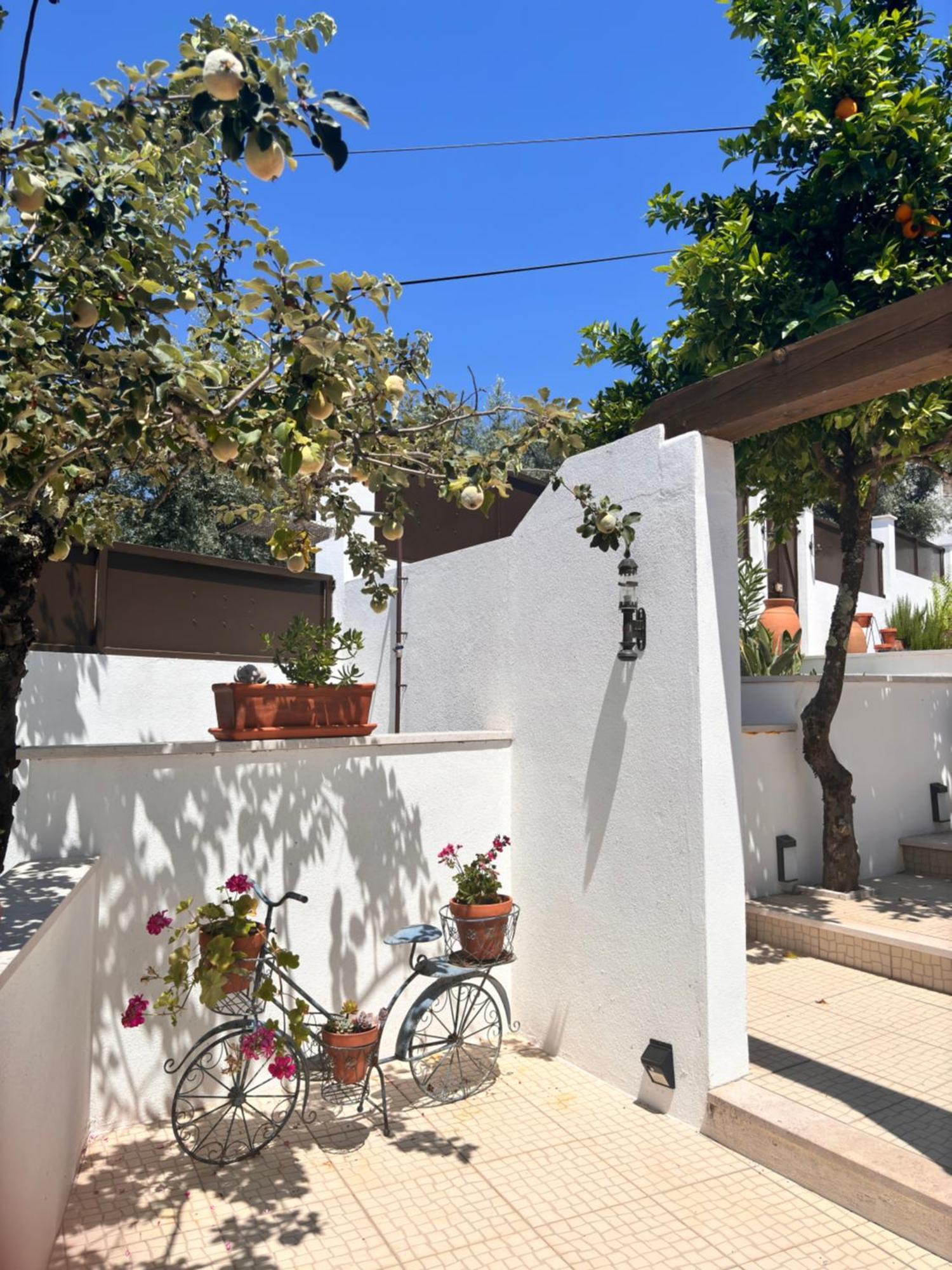 Casa Da Oliveira Acomodação com café da manhã Pedrogao Grande Exterior foto